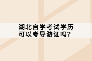 湖北自学考试学历可以考导游证吗？