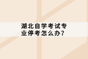 湖北自学考试专业停考怎么办？