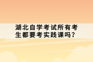 湖北自学考试所有考生都要考实践课吗？