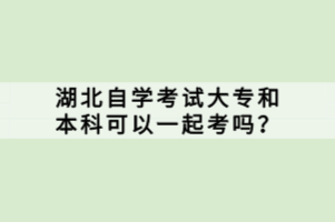 湖北自学考试大专和本科可以一起考吗？