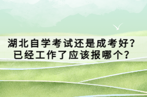 湖北自学考试还是成考好？已经工作了应该报哪个？