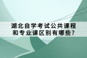 湖北自学考试专业停考了怎么办？