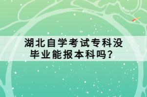 湖北自学考试专科没毕业能报本科吗？