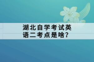 湖北自学考试英语二考点是啥？