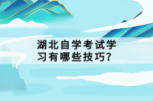 湖北自学考试复习大纲有用吗？