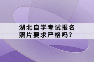 湖北自学考试报名照片要求严格吗？
