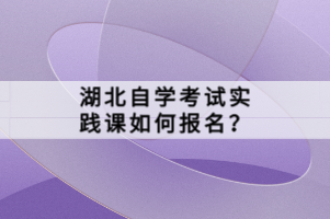 湖北自学考试实践课如何报名？