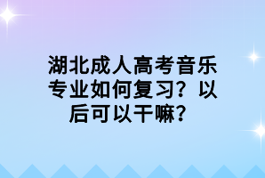 湖北成人高考音乐专业如何复习？以后可以干嘛？