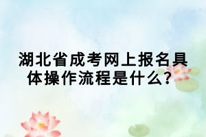 湖北省成考网上报名具体操作流程是什么？