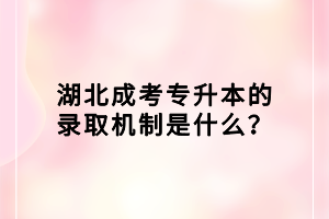湖北成考专升本的录取机制是什么？