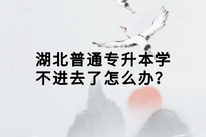 湖北普通专升本学不进去了怎么办？