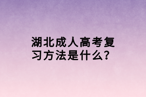湖北成人高考复习方法是什么？