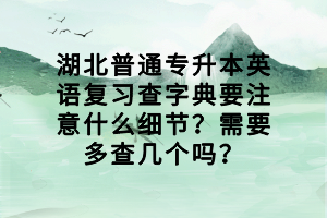 湖北普通专升本英语复习查字典要注意什么细节？需要多查几个吗？