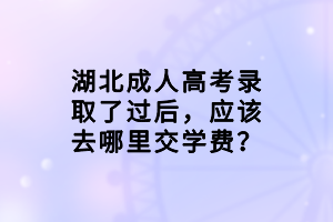 湖北成人高考录取了过后，应该去哪里交学费？