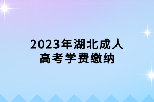 2023年湖北成人高考学费缴纳