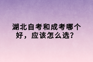 湖北自考和成考哪个好，应该怎么选？