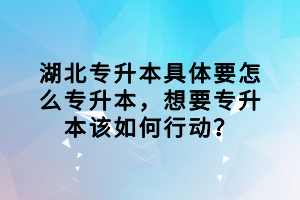 湖北专升本具体要怎么专升本，想要专升本该如何行动？