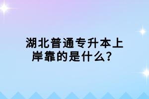 湖北普通专升本上岸靠的是什么？