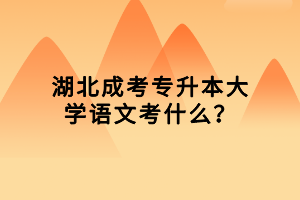 湖北成考专升本大学语文考什么？
