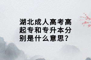 湖北成人高考高起专和专升本分别是什么意思？