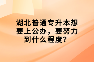 湖北普通专升本想要上公办，要努力到什么程度？