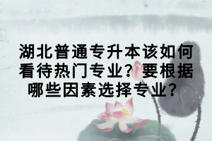 湖北普通专升本该如何看待热门专业？要根据哪些因素选择专业？