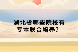 湖北省哪些院校有专本联合培养？