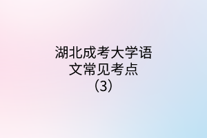 湖北成考大学语文常见考点（3）