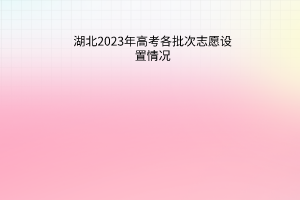 湖北2023年高考各批次志愿设置情况