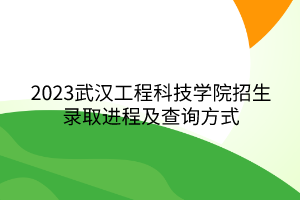 2023武汉工程科技学院招生录取进程及查询方式