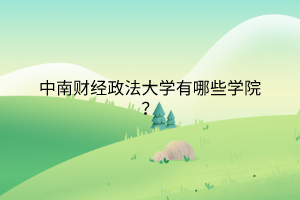 中南财经政法大学有哪些学院？