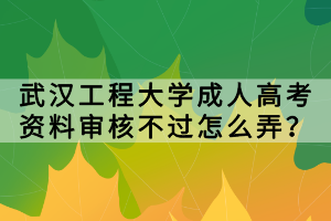 武汉工程大学成人高考资料审核不过怎么弄？
