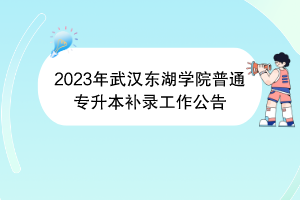 2023年武汉东湖学院普通专升本补录工作公告