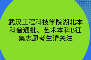 武汉工程科技学院湖北本科普通批、艺术本科B征集志愿考生请关注