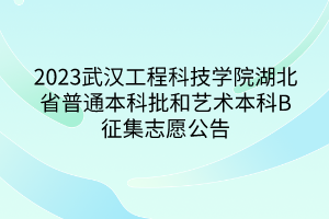 2023武汉工程科技学院湖北省普通本科批和艺术本科B征集志愿公告