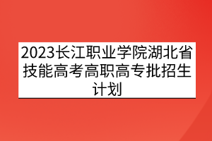 2023长江职业学院湖北省技能高考高职高专批招生计划