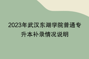 2023年武汉东湖学院普通专升本补录情况说明