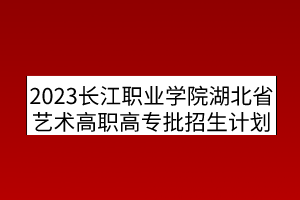 2023长江职业学院湖北省艺术高职高专批招生计划