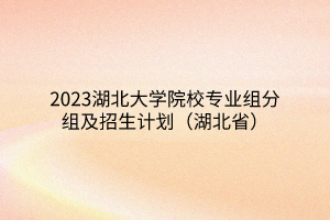 2023湖北大学院校专业组分组及招生计划（湖北省）