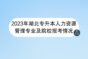 2023年湖北专升本人力资源管理专业及院校报考情况