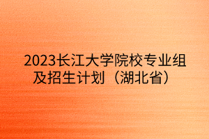 2023长江大学院校专业组及招生计划（湖北省）