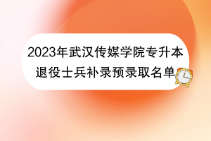 2023年武汉传媒学院专升本退役士兵补录预录取名单