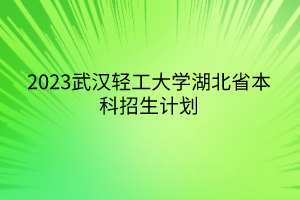 2023武汉轻工大学湖北省本科招生计划