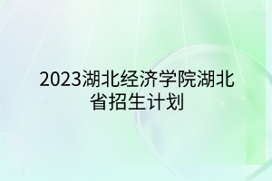 2023湖北经济学院湖北省招生计划