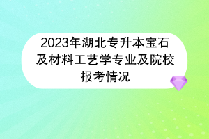 2023年湖北专升本宝石及材料工艺学专业及院校报考情况