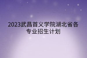2023武昌首义学院湖北省各专业招生计划