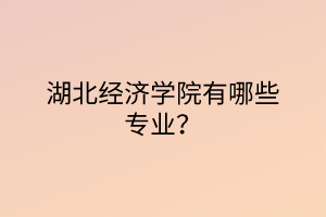 湖北经济学院有哪些专业？