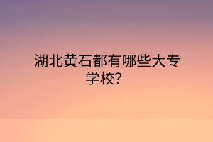 湖北黄石都有哪些大专学校？