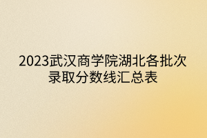 2023武汉商学院湖北各批次录取分数线汇总表