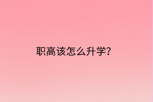 职高该怎么升学？